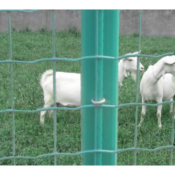 泗阳果园围栏网 养鸡围栏网 圈地网 现货生产厂家