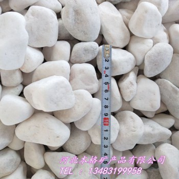 山西白色鹅卵石批发，2-3公分白色鹅卵石多少钱一吨