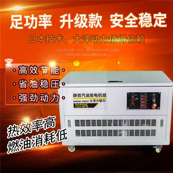 15kw汽油发电机价格 (2)