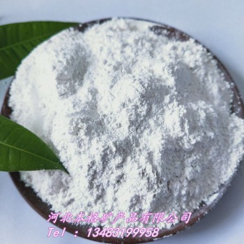 重钙粉厂家超细超白 重钙 碳酸钙 腻子粉涂料用 钙粉橡胶钙