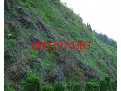 植草护坡铁丝网1.6-2.6丝绿化挂网价格表-菱形孔