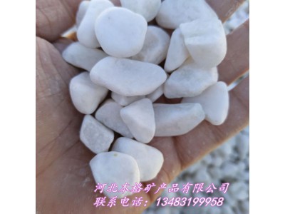 太原2-3厘米白色抛光鹅卵石多少钱一吨 园艺白石子本格供应