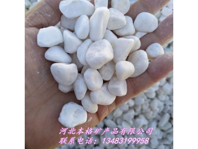 张家口白色鹅卵石生产厂家 园艺用白石子 雪花白鹅卵石