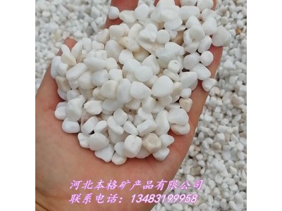 白色鹅卵石多少钱一吨 雪花白鹅卵石厂家 供应白色鹅卵石雨花石
