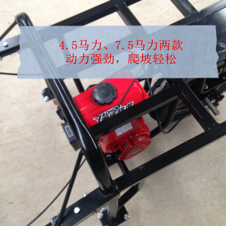 IMG_1949_副本_副本