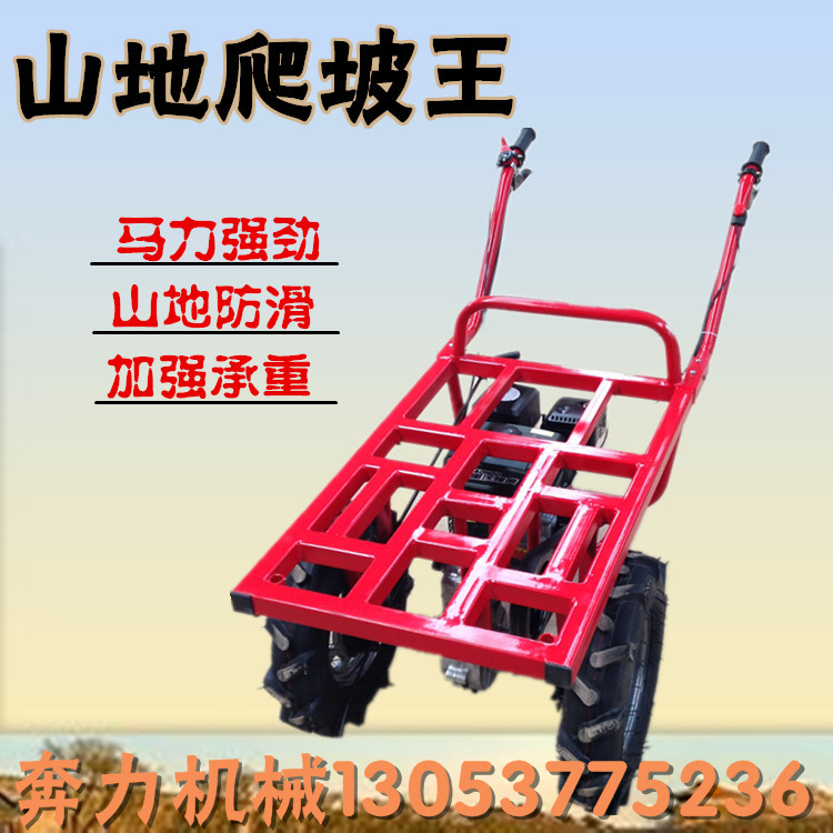 微信图片_20190228080637