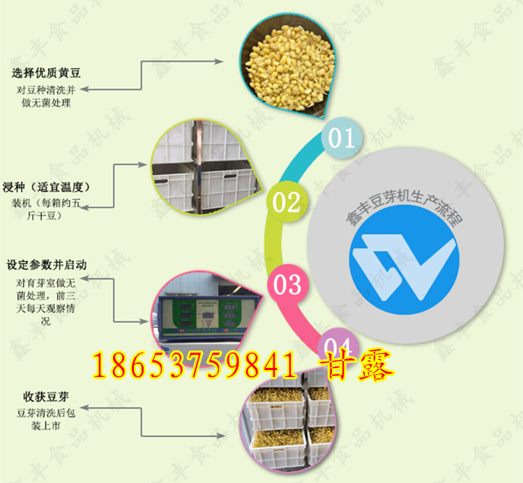 全自动豆芽机 (33)