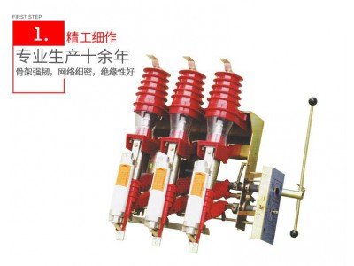 甘肃FN25-12RD/200-31.5型负荷开关电动机构