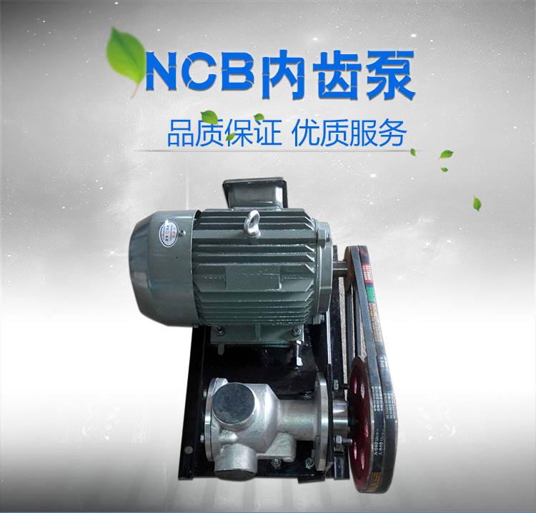 NCB泵1
