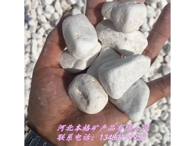 本格直销园艺白色小石子 白玉石 多肉植物铺面白色鹅卵石