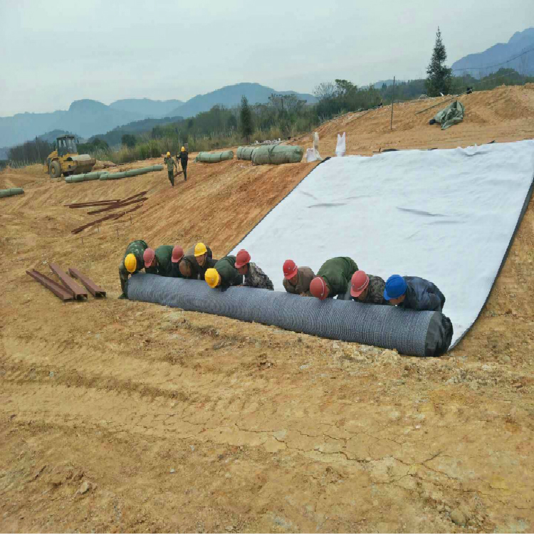 优质钠基膨润土防水毯 天然膨润土防水毯 覆膜膨润土防水毯示例图2