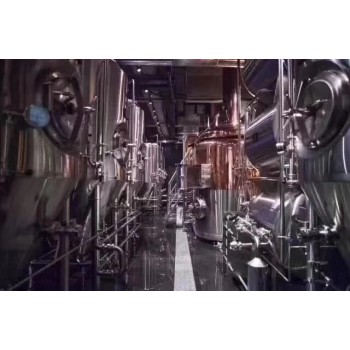 小型啤酒厂2000升啤酒设备    5000升啤酒机器多少钱