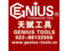 天赋工具Geniustools