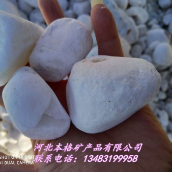 本格厂家直供白色优质鹅卵石 汉白玉石子 铺路用彩色白色抛光石