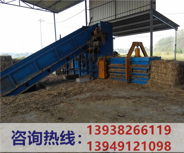  (119)