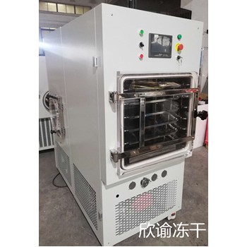 欣谕中试型冷冻干燥机定制深冷冻干机XY-FD-S冰冻干燥机  果蔬冻干机厂家