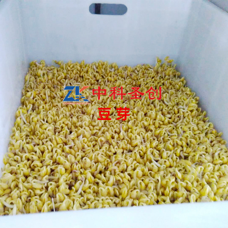 5_副本
