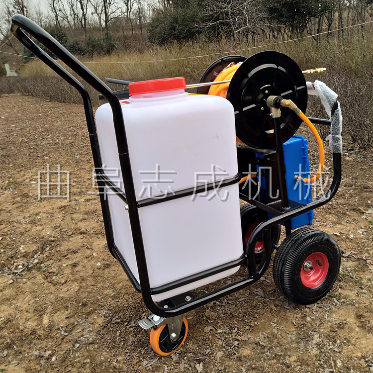 60L (10)