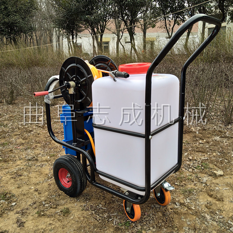 60L (14)