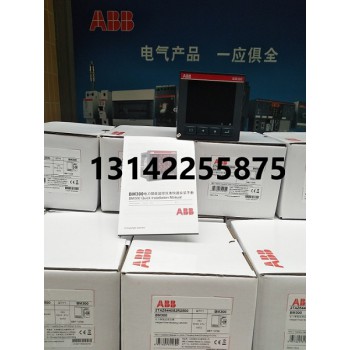 BM300新款仪表正品销售bm300现货特价