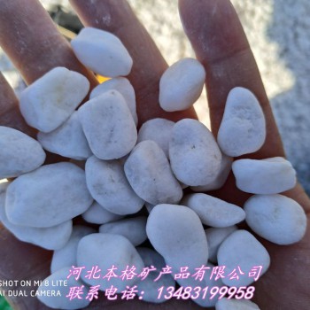 鹅卵石厂家批发 白色鹅卵石 水洗石子园林铺面造景白色石子