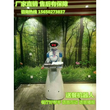 智能迎宾机器人 潍坊百航智能科技有限公司送餐机器人定制 迎宾机器人