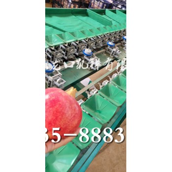 桃选果机，凯祥桃子选果机机型多，分选桃子精度高