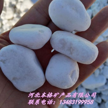 本格批发优质 白石子白鹅卵石 水洗白色米石 机制白碎石