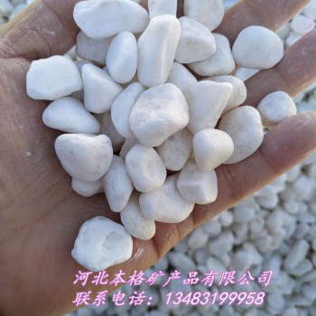 供应 建筑机制白色鹅卵石 白色石子 盆栽装饰品用白色小石子