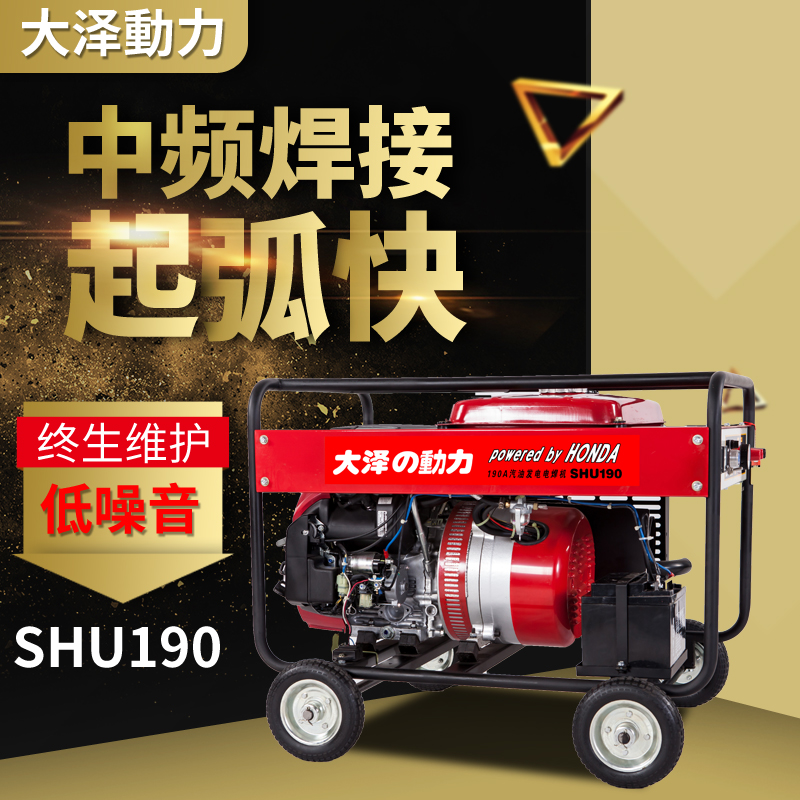镇店之宝190A汽油发电电焊机大泽动力