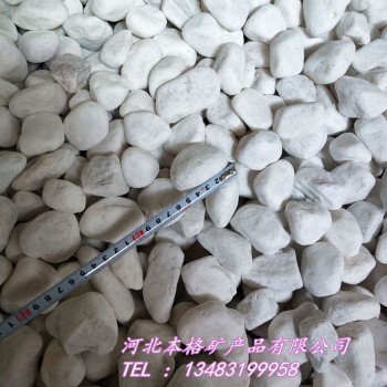 厂家直供鹅卵石 白色鹅卵石 盆栽填充1-3mm鹅卵石