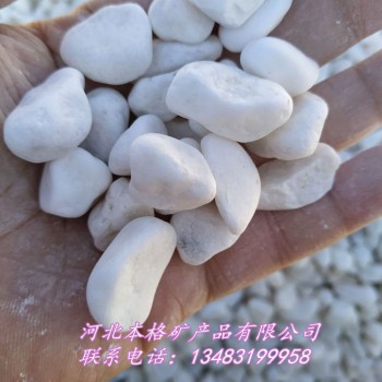 鹅卵石厂家供应园艺白色机制鹅卵石 白色石子 汉白玉石子