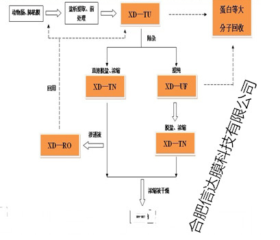 360截图16251117206259