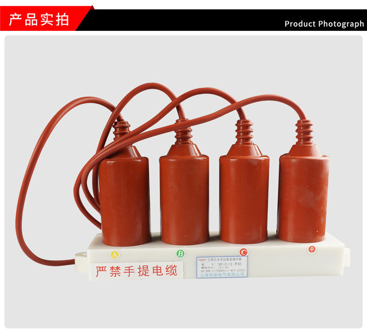 厂家直销 10KV过电压保护器 TBP-12.7F-85 过电压保护器示例图5