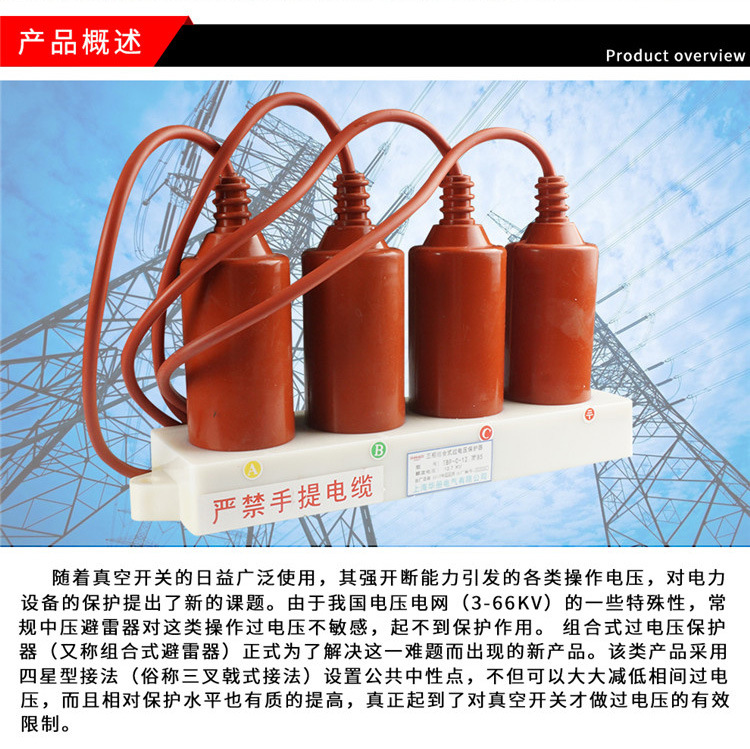 厂家直销 10KV过电压保护器 TBP-12.7F-85 过电压保护器示例图2