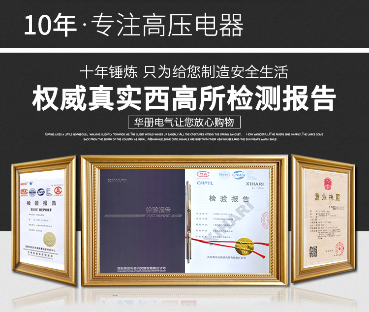 厂家直销 跌落保险 令克开关 RW12-10-12KV/100A 高压跌落式熔断器示例图2