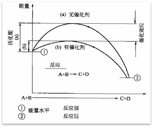 图片14