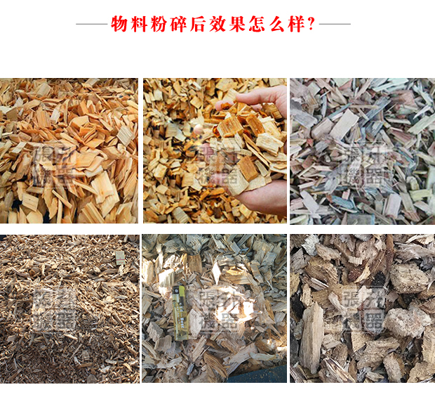 圆树根_06