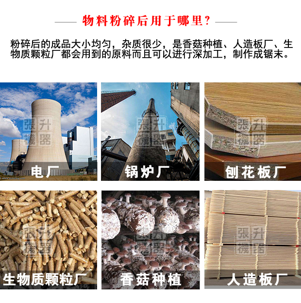 圆树根_07