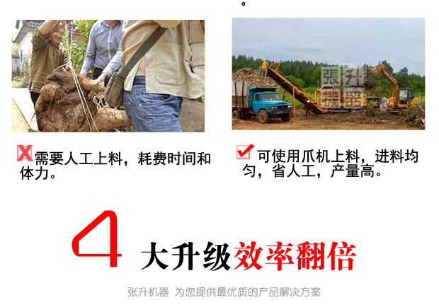 圆树根_10