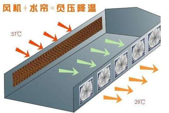 屋顶通风天窗生产厂家