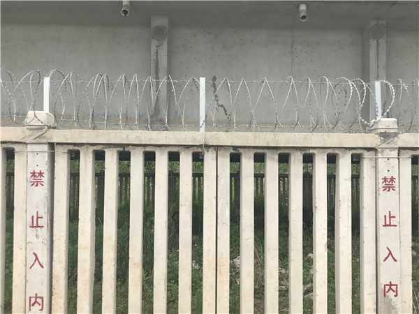 13333081799 (20)