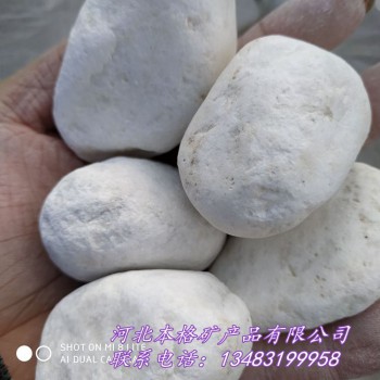 供应 白色鹅卵石 装饰用 汉白玉石子 鱼缸造景用 白石子