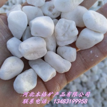 白色石子 白色鹅卵石 白色机制鹅卵石 景观铺路用白色石头