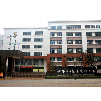 沙坪坝森林小学保洁