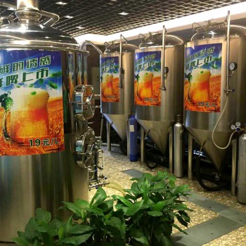 北京史密力维日产100升/200升/300升自酿啤酒设备厂家