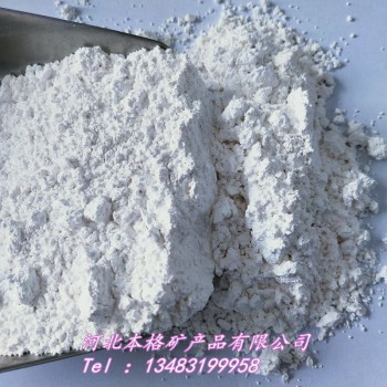 供应贝壳粉 高钙饲料添加剂用贝壳粉 涂料用煅烧超细白贝壳粉