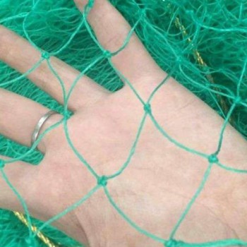 河北厂家直销绿色养鸡网 尼龙网 蓝色养殖网 天顶网 编织网
