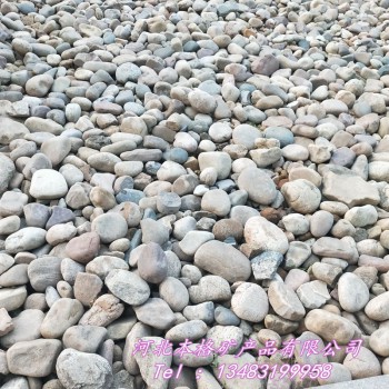 供应自然河滩野山鹅卵石 园林景观鹅卵石 路面铺设点缀鹅卵石
