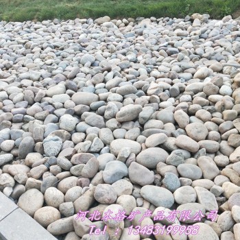 本格供应鹅卵石 河卵石 园林铺路庭院别墅造景鹅卵石 杂色石头
